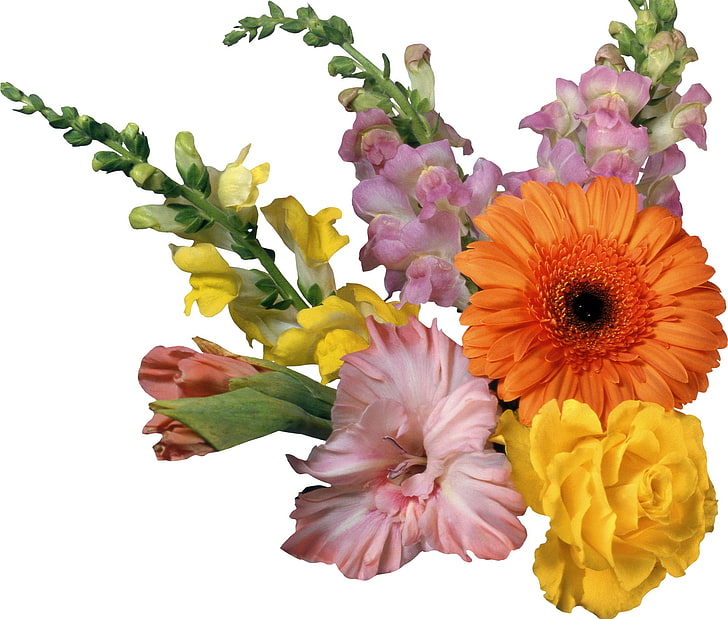 kwiaty pomarańczowe, białe, różowe i żółte, gerbera, mieczyk, kwiaty, kompozycja, Tapety HD