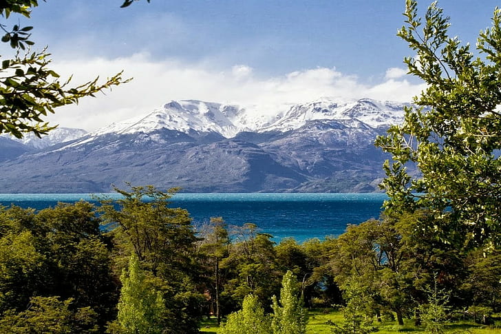 natur, landskap, berg, Chile, Patagonia, sjö, träd, snöig topp, gräs, HD tapet