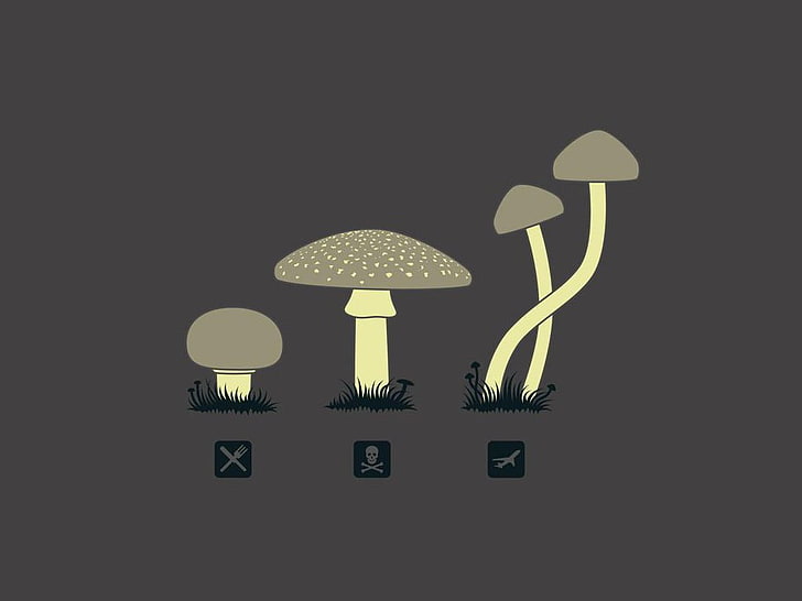 three gray mushrooms illustration, mushroom, food, drugs, death, HD wallpaper