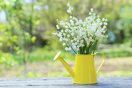 flores de pétalos blancos, flores, ramo, primavera, lago, lirios del valle, lirio, Fondo de pantalla HD HD wallpaper