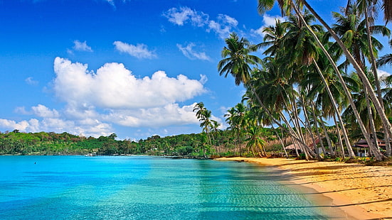 Пляж Карибского моря Обои Hd 2560 × 1440, HD обои HD wallpaper