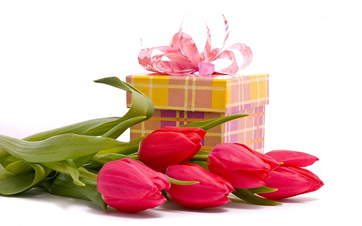 red tulips and gift box, tulips, flowers, bouquets, gift, HD wallpaper
