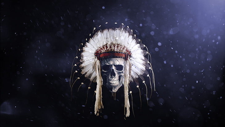깃털 머리 장식 벽지, 깃털, 두개골, 아메리카 원주민 의류, 머리띠와 두개골, HD 배경 화면