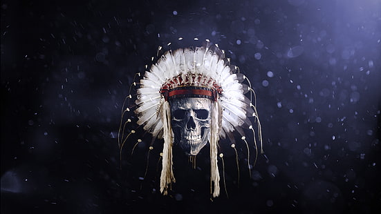 skull with feather headdress wallpaper, feathers, skull, Native American clothing, headband, HD wallpaper HD wallpaper