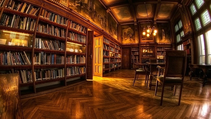 brązowa drewniana witryna w ramie szklanej, biblioteka, książki, półki, obiektyw typu rybie oko, krzesło, światła, Tapety HD