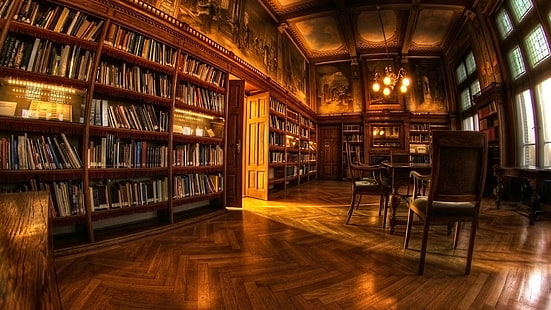 vitrine encadrée en bois marron en bois, bibliothèque, livres, étagères, objectif fisheye, chaise, lumières, Fond d'écran HD HD wallpaper