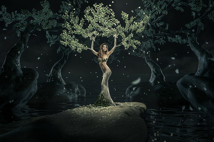 fantasy girl, digital art, fantasy art, night, nature, women, trees, HD wallpaper