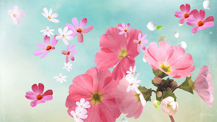Keajaiban Musim Semi, musim semi, firefox persona, hamburan, putih, musim panas, kelopak, bunga merah muda, bunga, 3d dan abstrak, Wallpaper HD