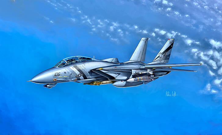 USA, F-14, US Navy, Grumman F-14D Super Tomcat, VF-2, HD wallpaper