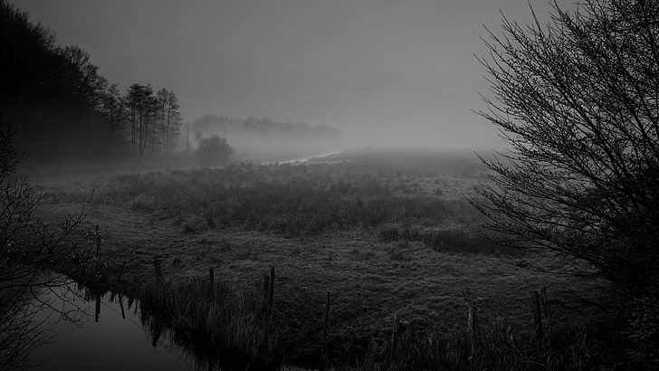 голое дерево, фотография, природа, монохромная фотография, туман, монохромный, германия, угрюмый, небо, пейзаж, туман, черно-белое, силуэт, ветви, дерево, река, болото, наземный туман, туманный, HD обои