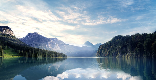 ป่า, 8K, ภูเขา, 4K, ทะเลสาบ, วอลล์เปเปอร์ HD HD wallpaper