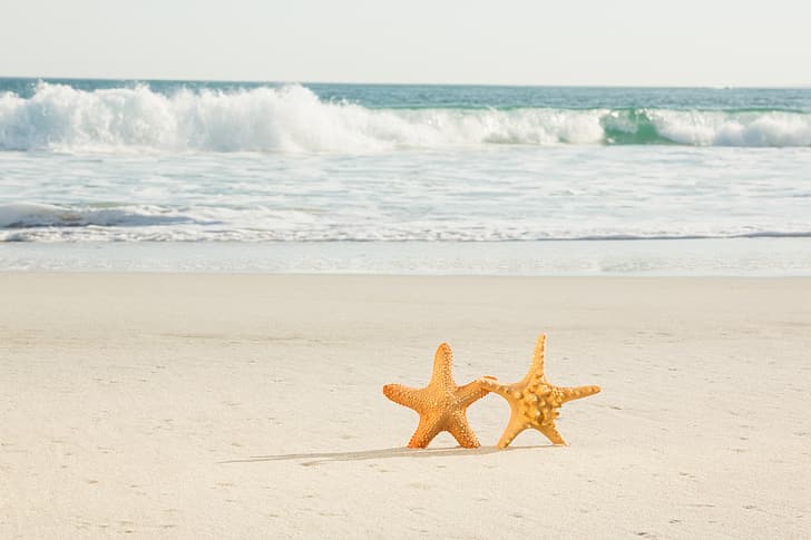 sand, sea, beach, star, pair, summer, love, starfish, HD wallpaper