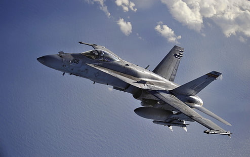 Jet Fighters, calabrone McDonnell Douglas F / A-18, aeronautica militare, aeromobile, aereo, calabrone Boeing F / A-18E / F, militare, veicolo, Sfondo HD HD wallpaper