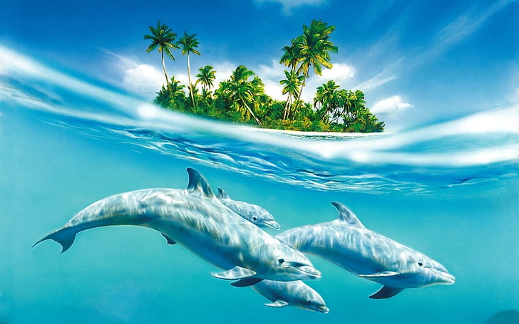 3D Dolphins HD wallpapers free download | Wallpaperbetter