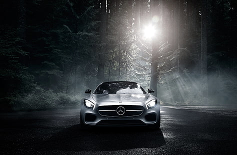 сребърен автомобил Mercedes-Benz, mercedes-benz, amg, gt s, 2016, сребърен, дърво, нощ, изглед отпред, HD тапет HD wallpaper