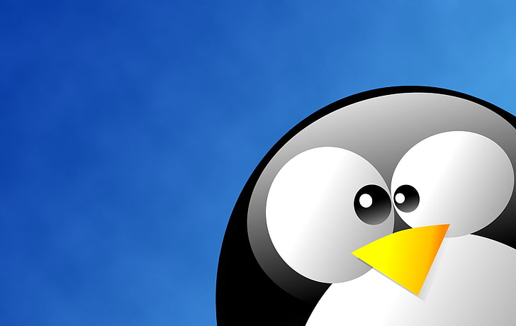 Linux Tux In Blue, svartvit pingvinillustration, Datorer, Linux, blue, linux ubuntu, penguin, HD tapet