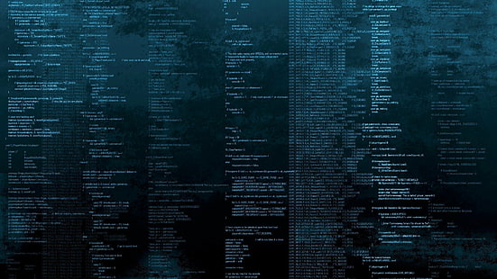 programación lenguaje de programación conocimiento codificación código minimalismo lógica de computadora juego de fatalidad, Fondo de pantalla HD HD wallpaper