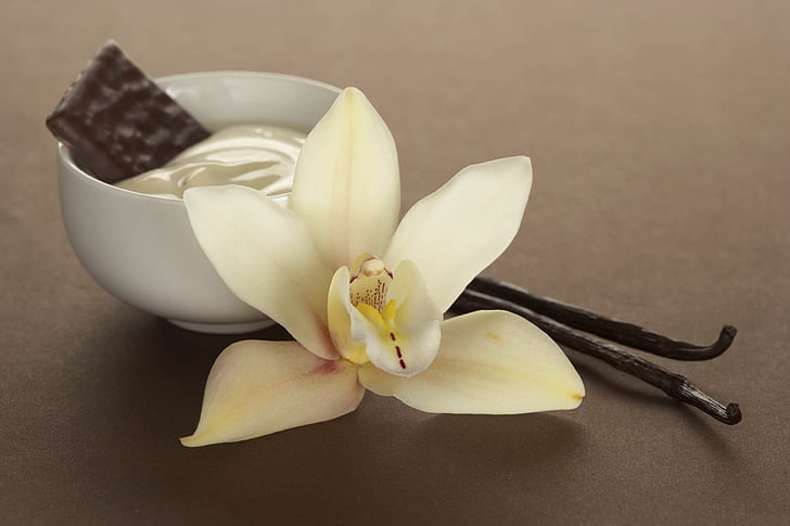 white vanilla orchid and vanilla sticks, flower, beautiful, aroma, vanilla, HD wallpaper