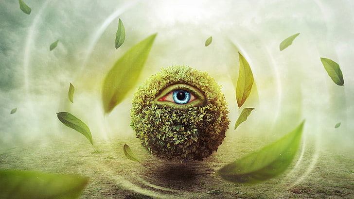 green leafed plant with eye illustration, digital art, fantasy art, eyes, leaves, nature, blue eyes, windy, surreal, clouds, field, grass, HD wallpaper