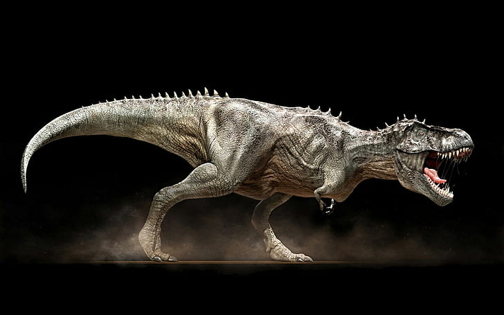 dinosaurus, rex, tyrannosaurus, Wallpaper HD