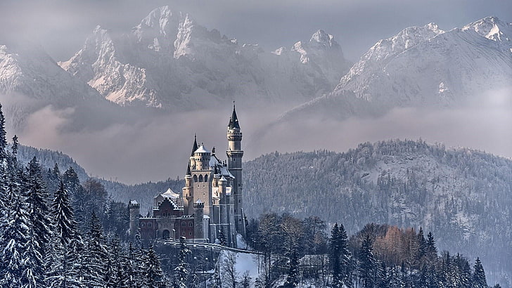 замък Нойшванщайн, зима, замък, небе, природа, планина, сняг, забележителност, Швангау, дърво, Алпи, Бавария, слана, Германия, ЕС, Европа, HD тапет