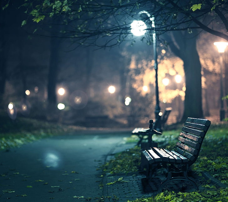 bench, lantern, night, lights, park, HD wallpaper