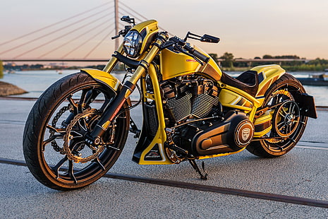  Motorcycles, Custom Motorcycle, Harley-Davidson, Thunderbike Customs, HD wallpaper HD wallpaper