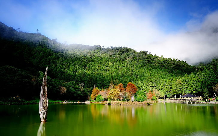 Evergreen Nature, montaña verde plegada, perenne, naturaleza, Fondo de pantalla HD