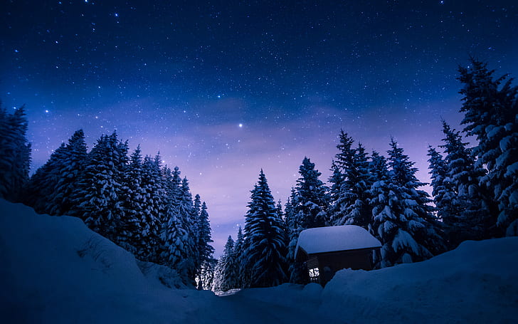 bosque, invierno, noche, camino, nieve, árboles, cabaña, naturaleza, estrellas, Fondo de pantalla HD