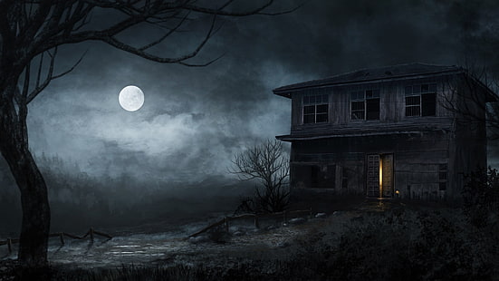 заброшенный дом с привидениями, жуткий дом призраков, дом с привидениями, полная луна, ночь, луна, лунный свет, страшно, ужас, HD обои HD wallpaper