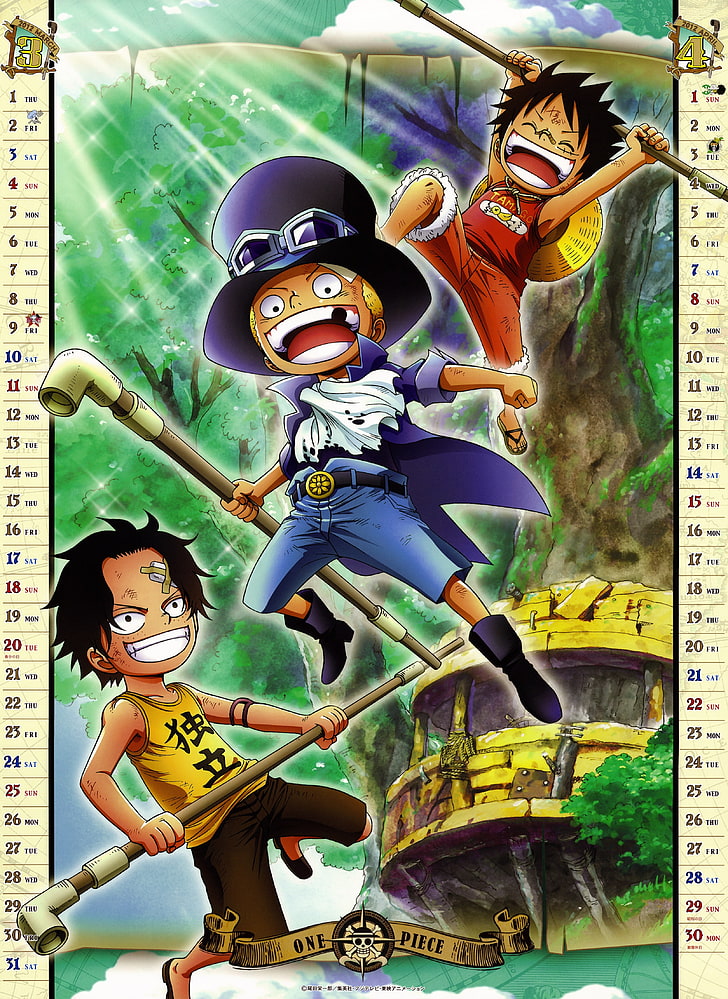 une pièce anime mars ace calendrier singe anime d luffy 3223x4421 Anime One Piece HD Art, Mars, One Piece (Anime), Fond d'écran HD, fond d'écran de téléphone