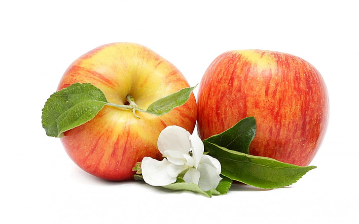 Two apple fruits HD wallpapers free download | Wallpaperbetter