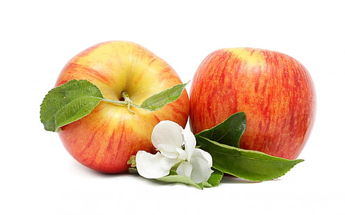 اثنين من ثمار التفاح الأحمر والفواكه والتفاح والزهور، خلفية HD HD wallpaper