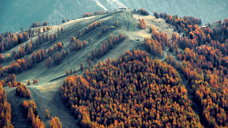 brown leafed trees, mountain cover by brown trees, nature, landscape, forest, trees, blurred, tilt shift, HD wallpaper