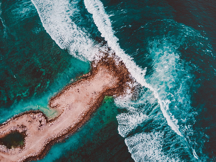 Grüner Ozean digitale Tapete, Natur, Wasser, Landschaft, Bäume, Strand, HD-Hintergrundbild