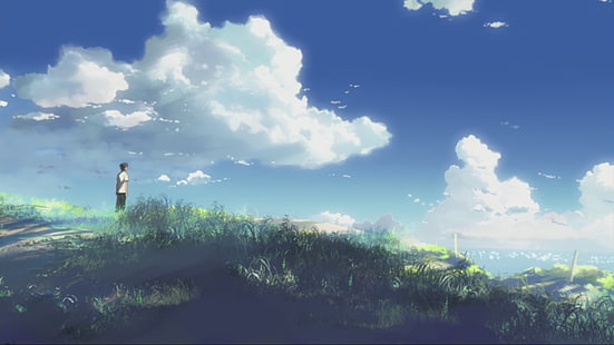 Il tuo nome anime, 5 centimetri al secondo, Makoto Shinkai, anime, sky, Sfondo HD HD wallpaper