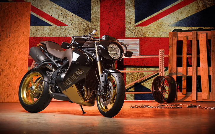 Black, Moto, Triumph, Vilner, Bulldog, Speed Triple, HD wallpaper