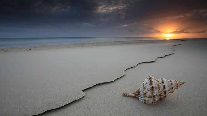 شاطئ البحر الرمال الصدف الغروب، خلفية HD