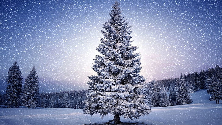 pemandangan, alam, musim dingin, salju, pohon, Wallpaper HD