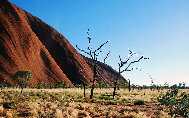 Uluru Ayers Rock, skies, shrubs, nature, clear, blue, beautiful, deserts, 3d and abstract, HD wallpaper