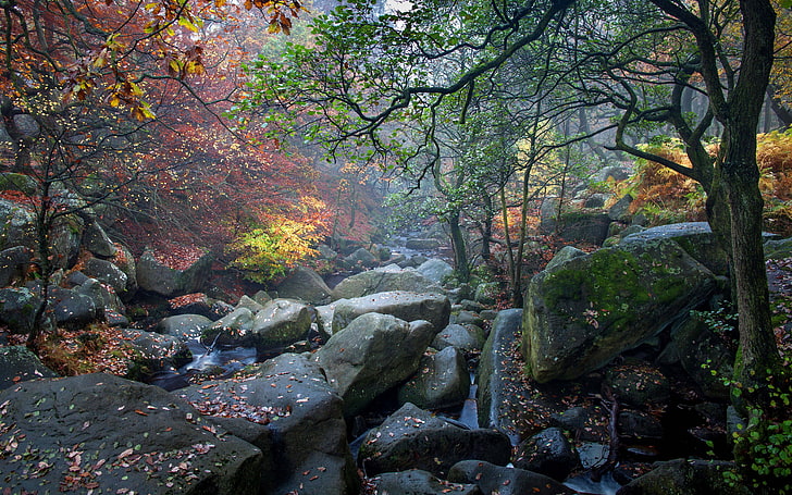 Natur Storbritannien Hösten Dol Stream Rocks Rocks Forest Trees Autumn Fall On Leaves Desktop Hd Wallpaper För Pc-surfplatta och mobil 5200 × 3250, HD tapet