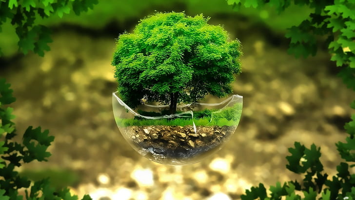 natur gröna blad växter digital konst flytande ö träd glas bruten sfär gräs sten, HD tapet