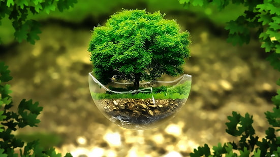 natura verde foglie piante arte digitale galleggianti isola alberi vetro rotto sfera erba roccia, Sfondo HD HD wallpaper