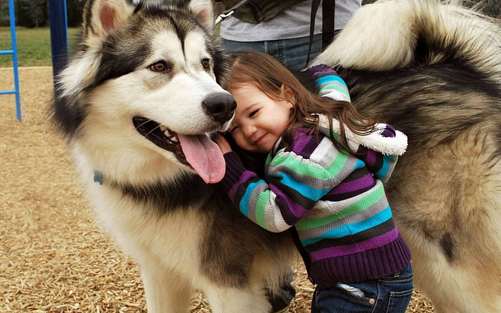 niños, Alaskan Malamute, perro, Fondo de pantalla HD