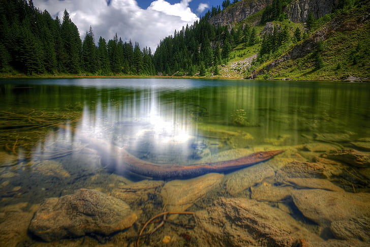 brown sea creature in green river during daytime in landscape photography, mountain lake, kosovo, brown, sea creature, green river, daytime, landscape photography, mariusz, EUROPE, balkans, mountains, reflections, trees, long  exposure, picturesque, nature, lake, forest, landscape, mountain, water, outdoors, reflection, scenics, beauty In Nature, tree, summer, river, rock - Object, travel, HD wallpaper