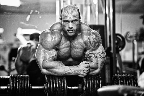 Muskeln, Bodybuilder, Morgan Aste, Big Rock, HD-Hintergrundbild HD wallpaper