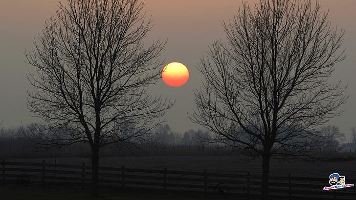 เมื่อดวงอาทิตย์ตกต้นไม้สวยลงพระอาทิตย์ตก 3 มิติและนามธรรม, วอลล์เปเปอร์ HD