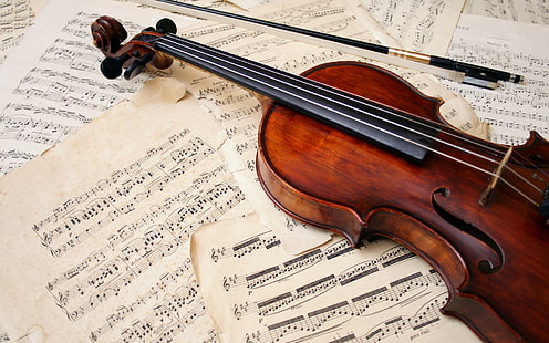 Violino HD, música, violino, HD papel de parede HD wallpaper