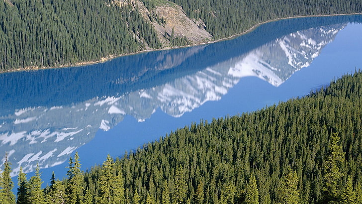 自然、風景、木、山、森、雪、湖、反射、 HDデスクトップの壁紙