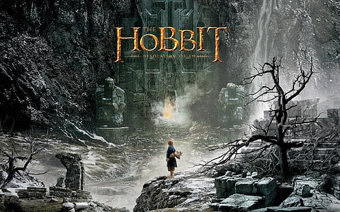 The Hobbit: The Desolation of Smaug 2013, poster film hobbie, Hobbit, Desolation, Smaug, 2013, Wallpaper HD HD wallpaper
